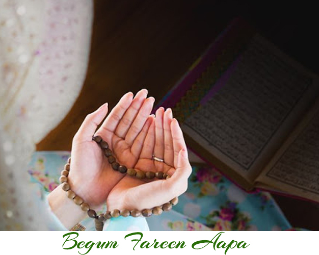 Vedic Astrology Expert